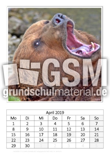 April_Kodiakbär.pdf